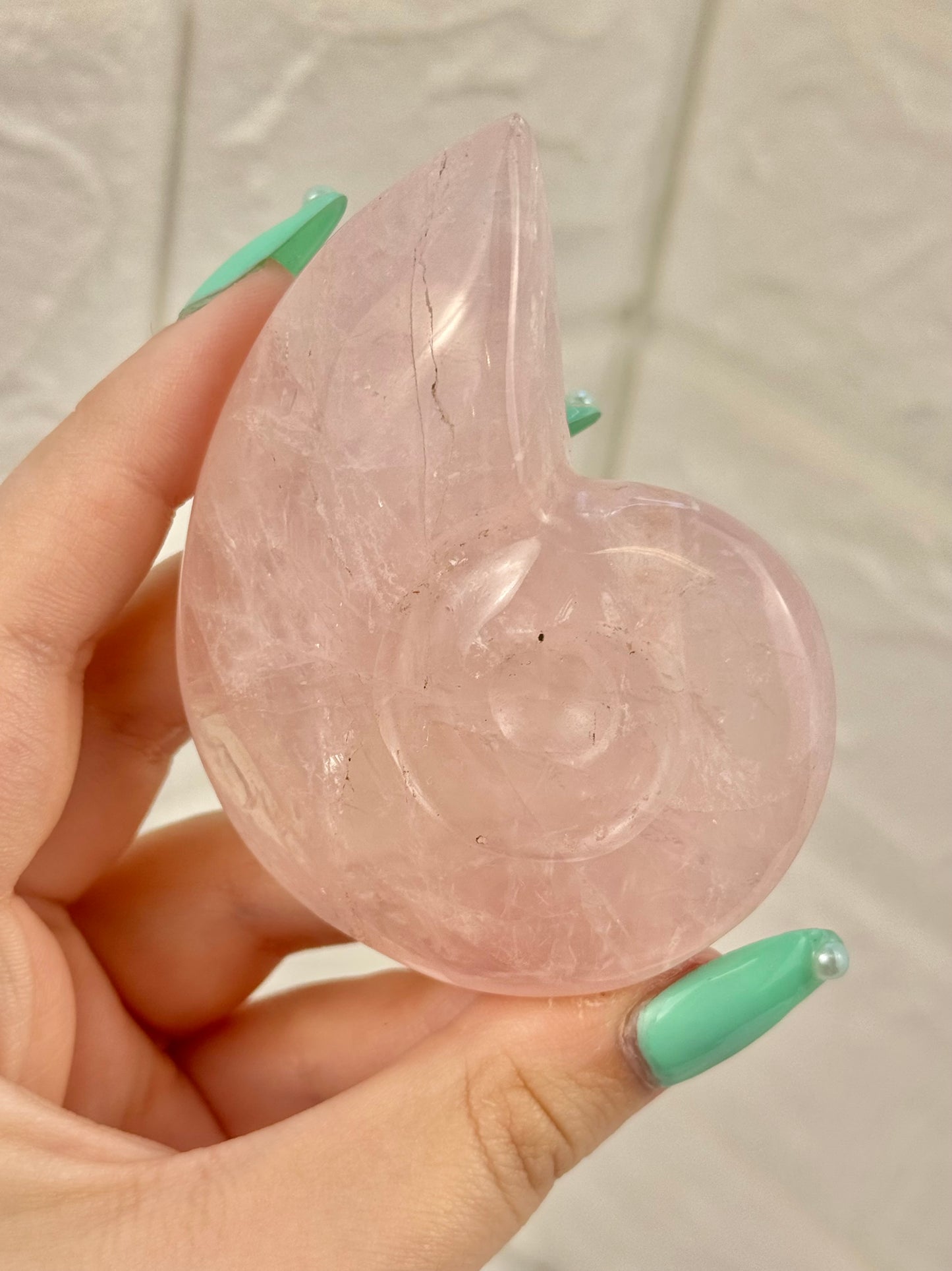 1 rose quartz Nautilus shell