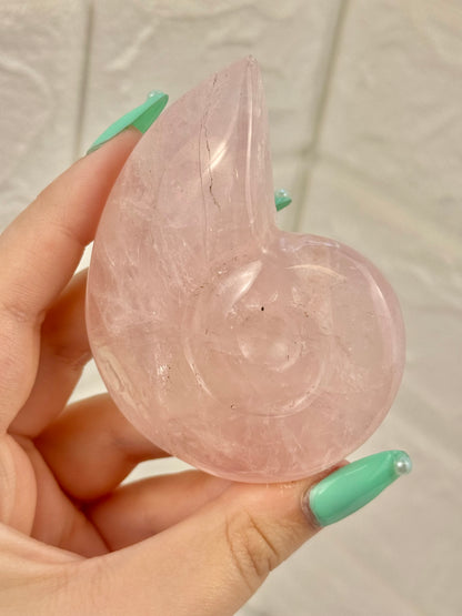 1 rose quartz Nautilus shell