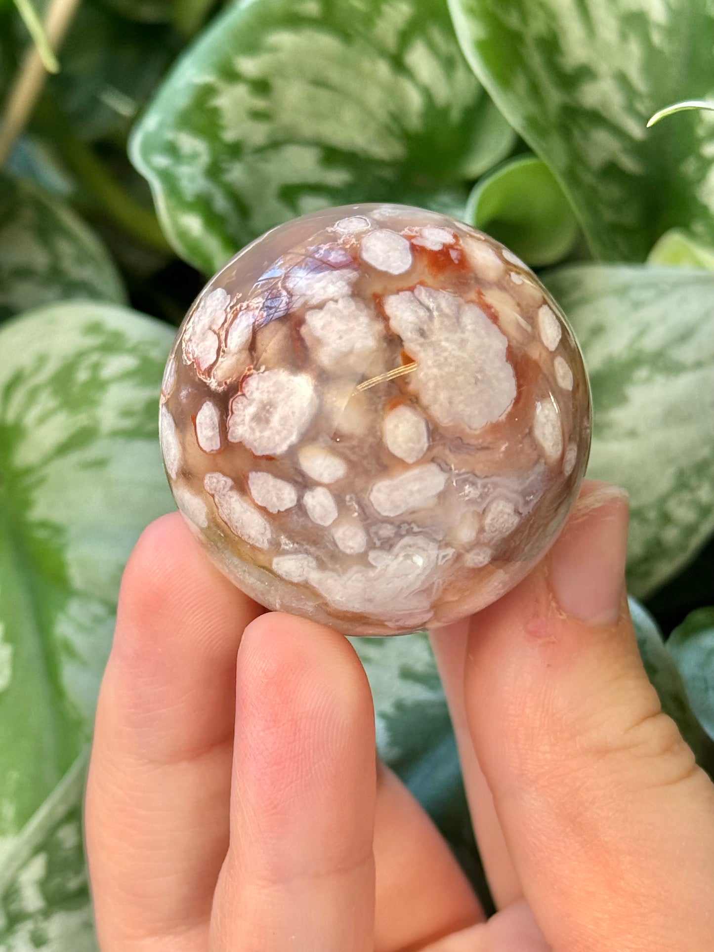 You pick! Stunning flower agate sphere