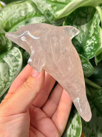 Cute rose quartz dolphin H