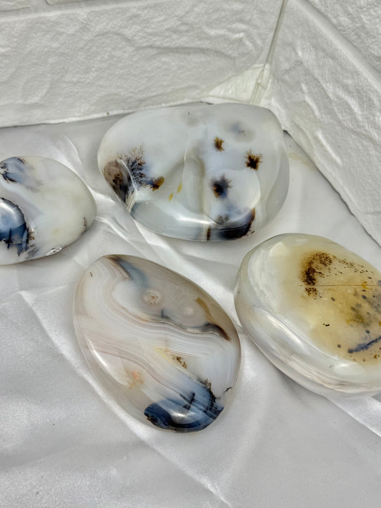 You pick! Dendritic agate Freeform’s