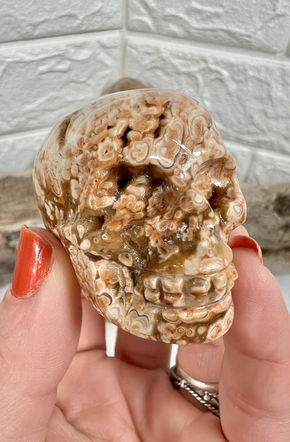 1 chocolate calcite skull