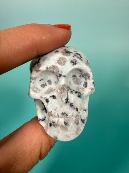 Kiwi jasper skull