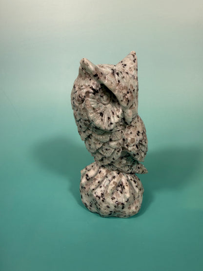 LG kiwi jasper owl B