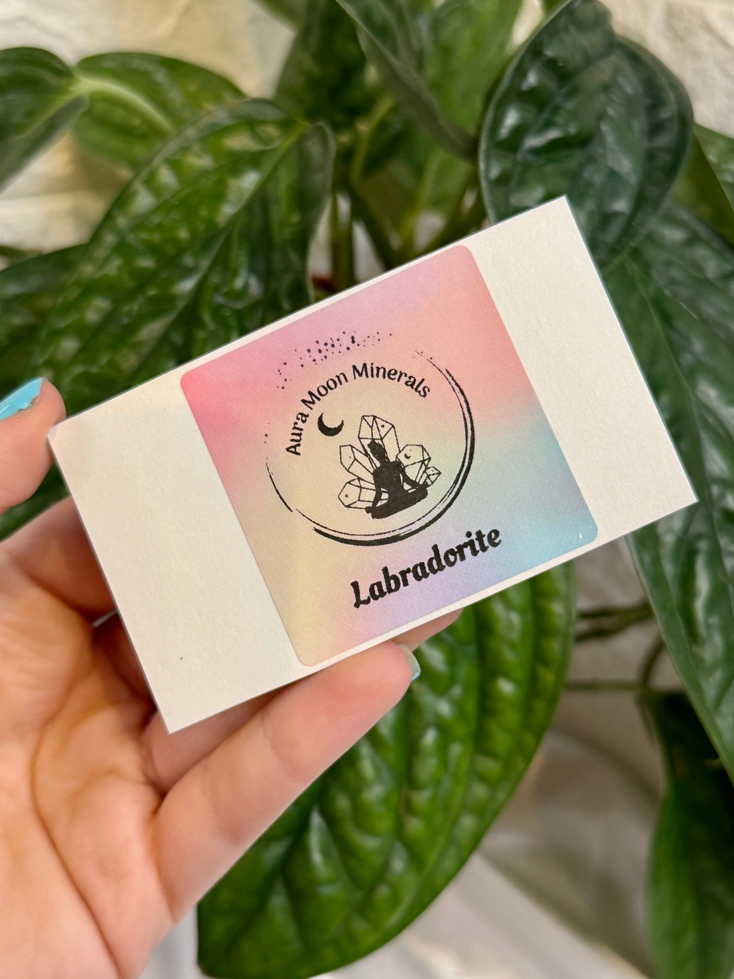 1 auramoon MED labradorite cabachon pack