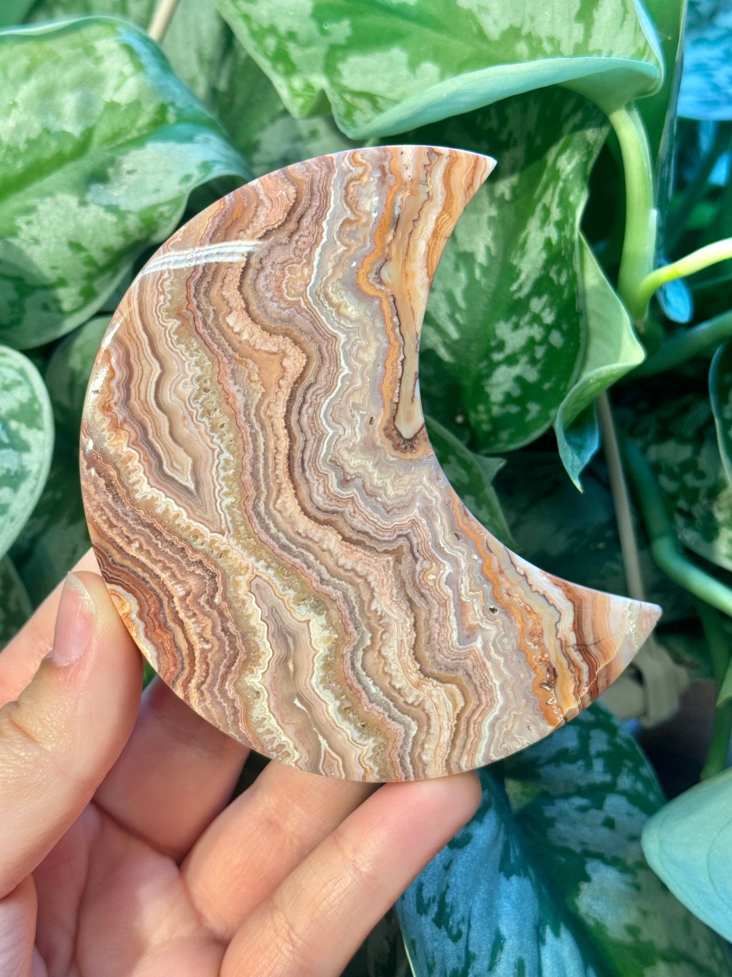 1 intuitive pink crazy lace agate moon from Indonesia