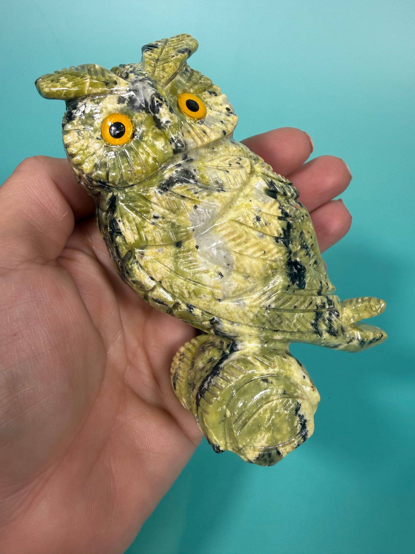 Peruvian serpentine owl