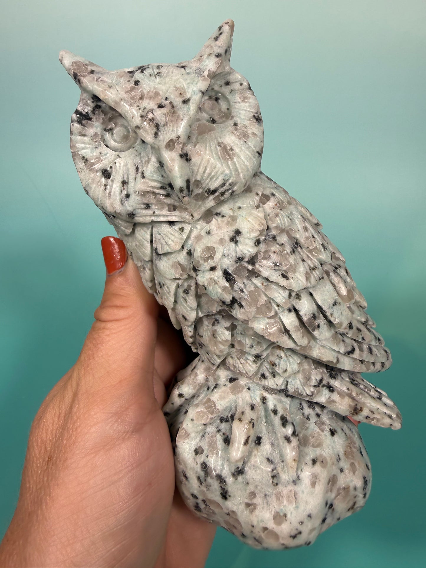 LG kiwi jasper owl B
