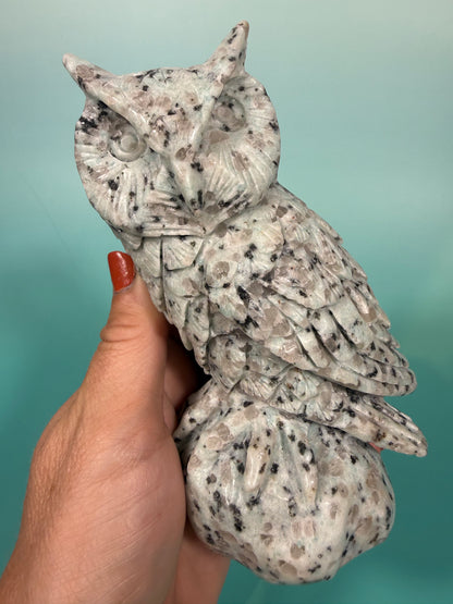 LG kiwi jasper owl B