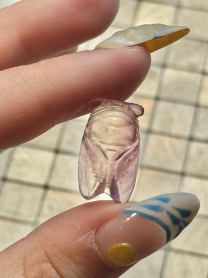 1 intuitive fluorite mini Cicada