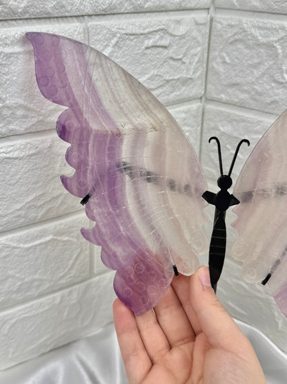 Stunning LG purple fluorite butterfly wings