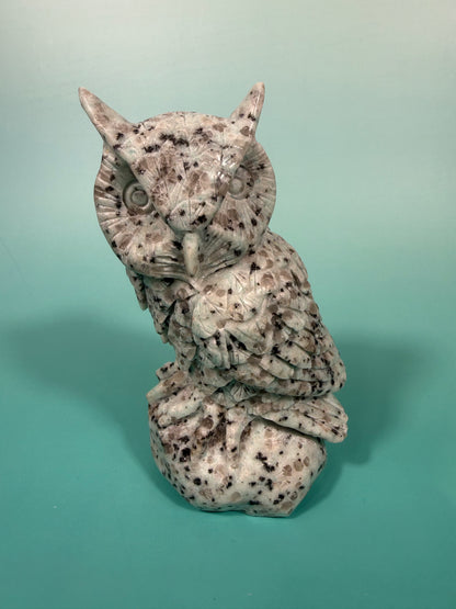 LG kiwi jasper owl A