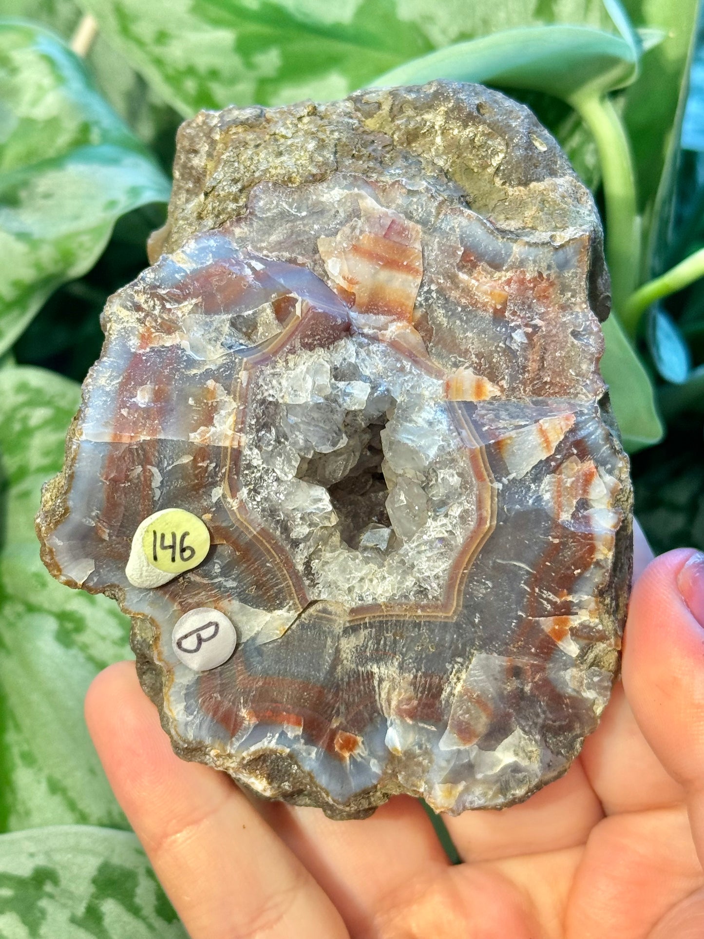 Insane high quality banded Condor agate from Argentina B