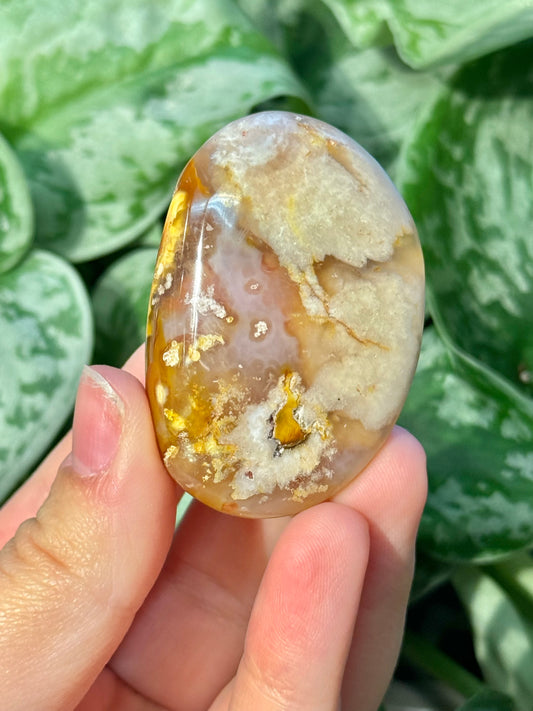 Flower agate palm stone from Madagascar