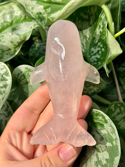 Cute rose quartz whale D