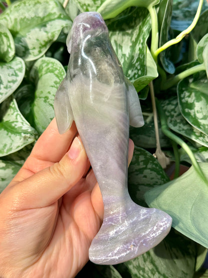 LG silky fluorite manatee B