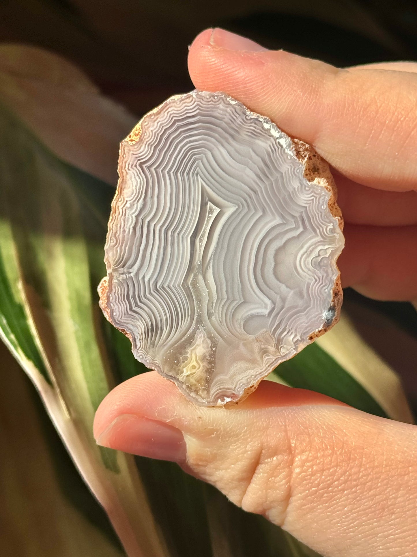 Angelic white laguna agate R