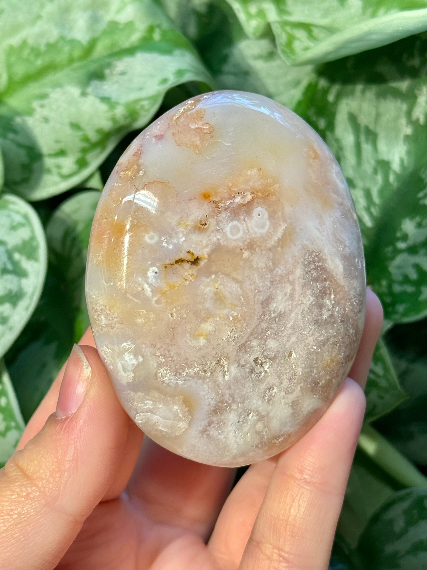 Flower agate palm stone from Madagascar