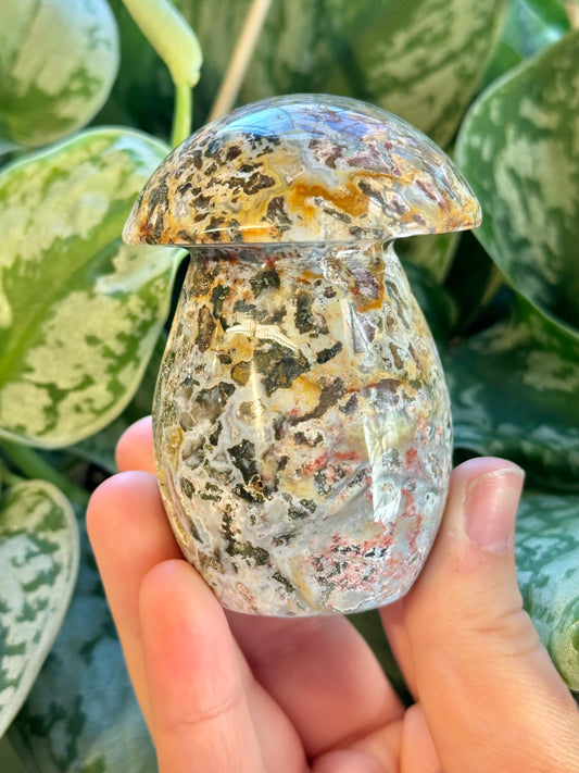 Colorful cosmic jasper mushroom E