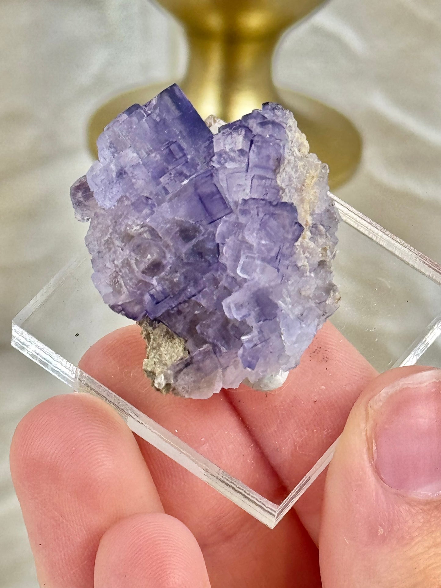 You pick! Deep purple fluorites from the Tule mine in Mexico