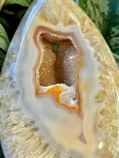 Incredible druzy agate flame from Brazil