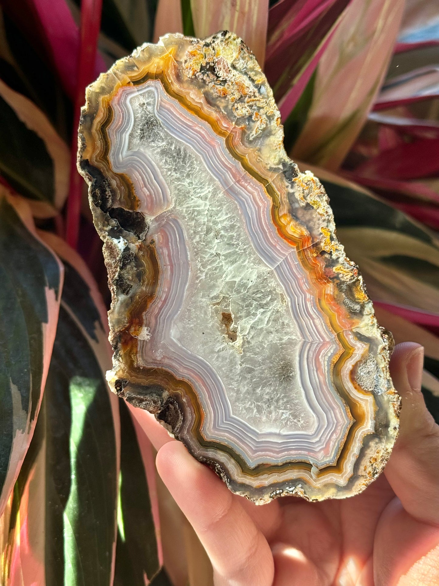 XL Purple/orange laguna agate G