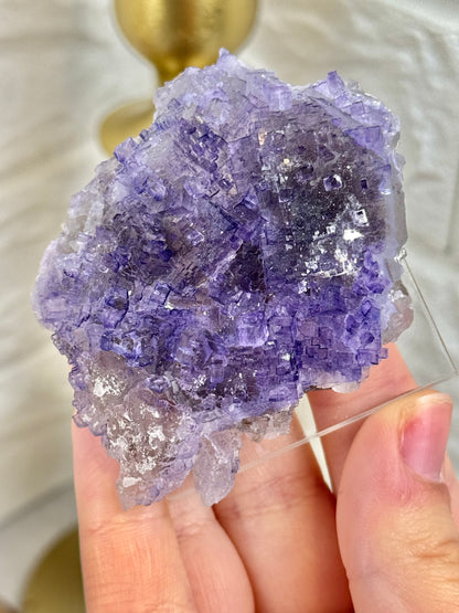 You pick! Incredible deep purple fluorites from the Tule mine in Mexico