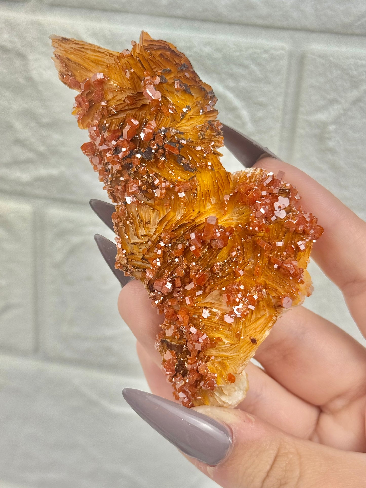 You pick! Vanadinite specimens from Morocco