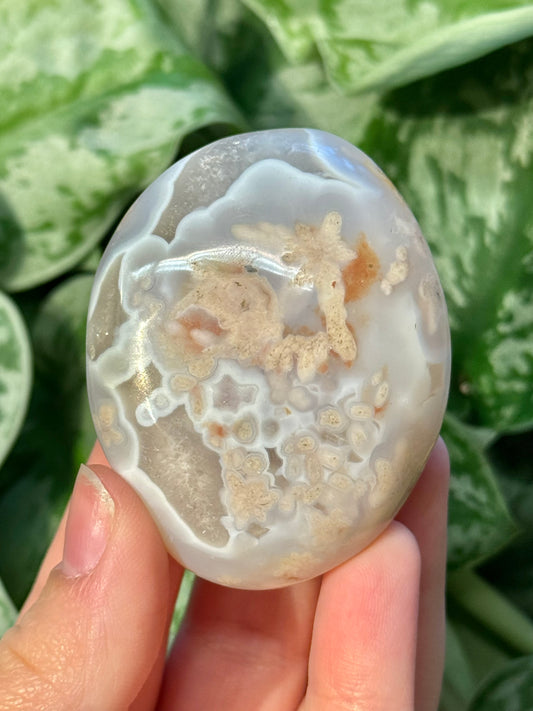 Flower agate palm stone from Madagascar