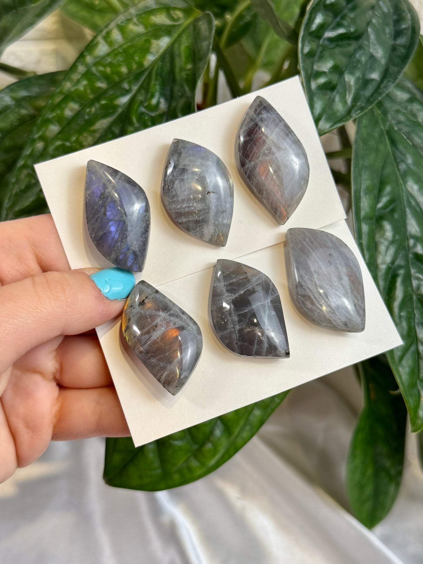 1 auramoon MED labradorite cabachon pack