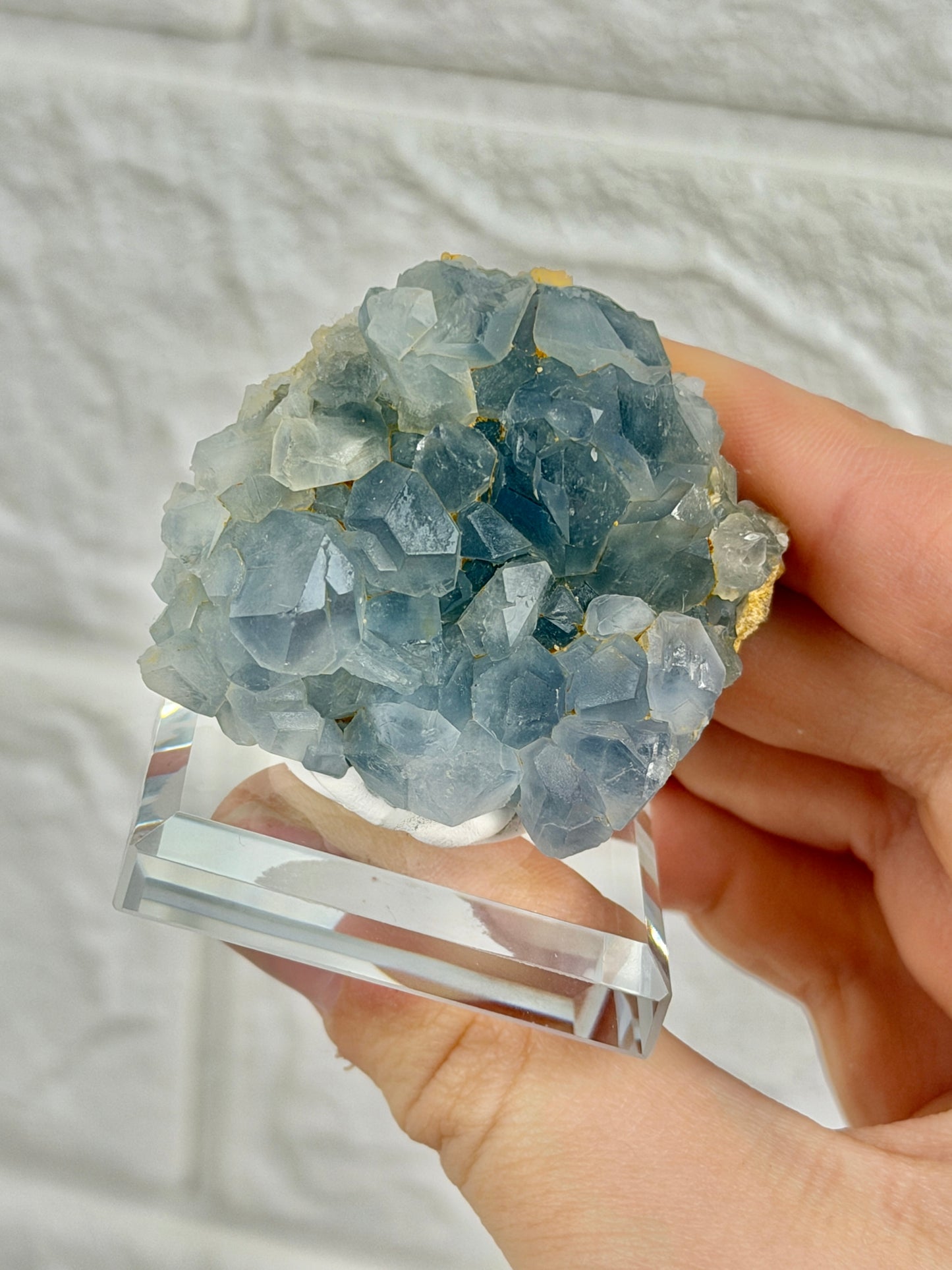 You pick! Incredible high-grade Celestine specimens from Afghanistan