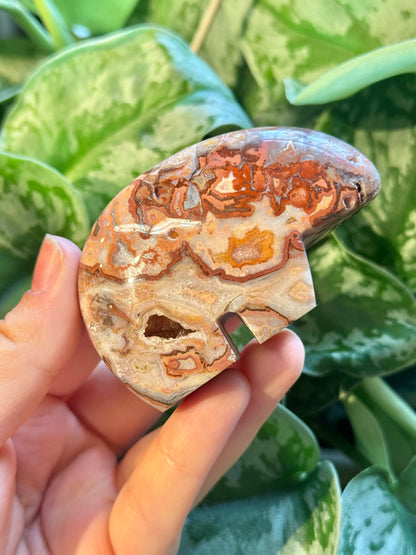 1 SM intuitive pink crazy lace agate bear from Indonesia