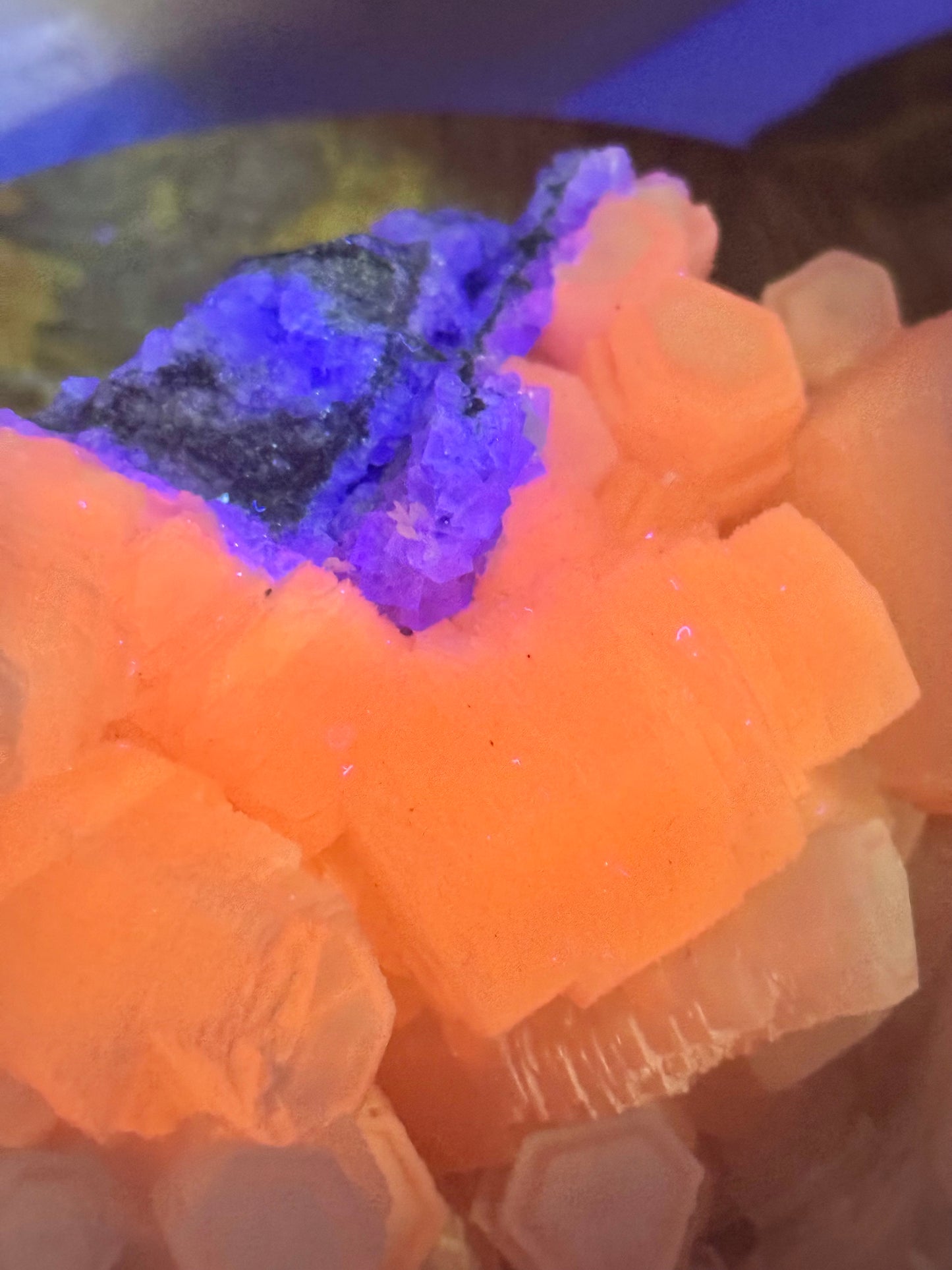 Insane AAA pink coin calcite with fluorite specimen from China (UV REACTIVE)