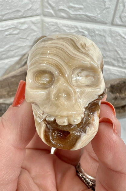 1 chocolate calcite skull