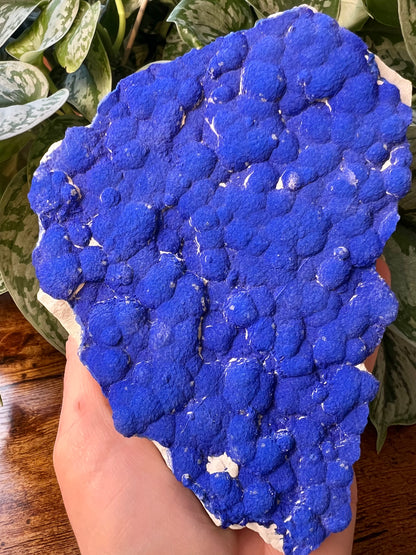 *rare* azurite sun specimen from Australia