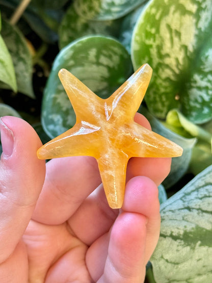 1 cute orange calcite starfish