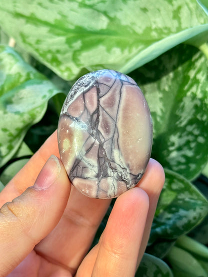 1 porcelain jasper palm stone B