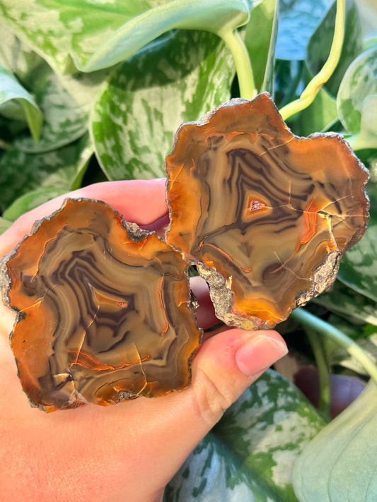 Insane Condor agate pair from Argentina