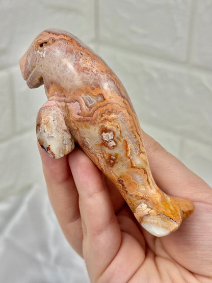 1 adorable pink crazy lace agate manatee