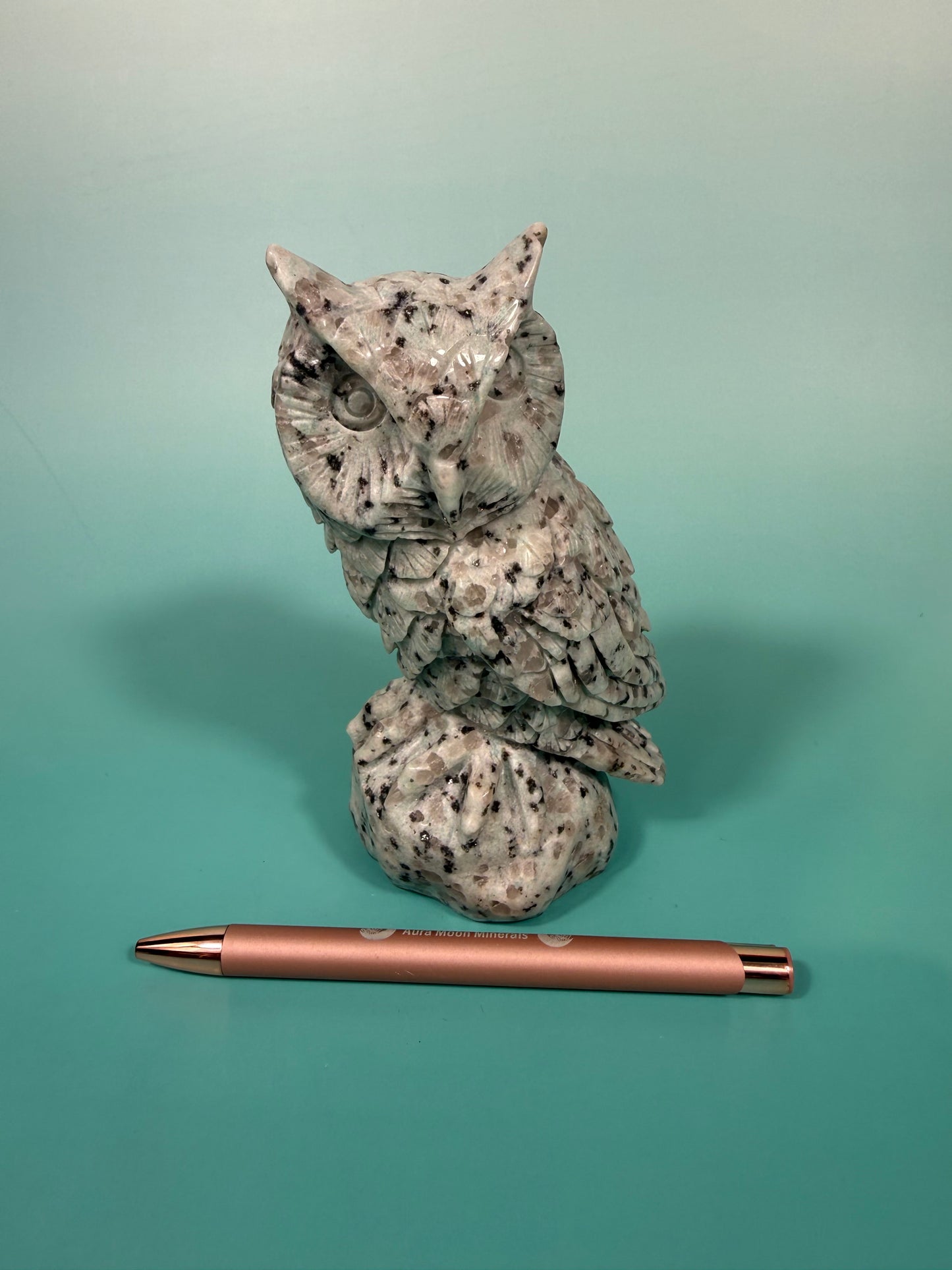 LG kiwi jasper owl B