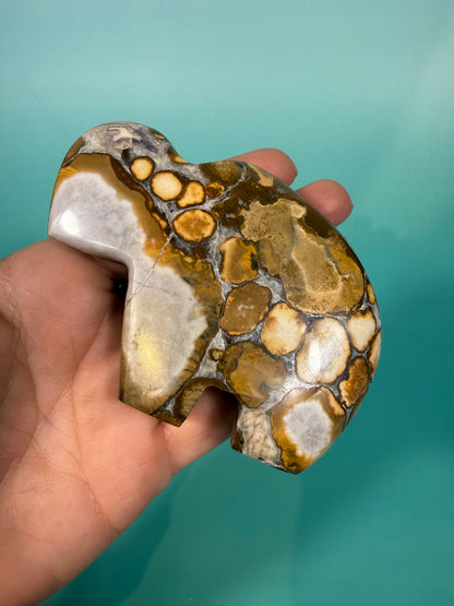 Cobra jasper buffalo
