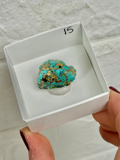 You pick! Turquoise from Arizona