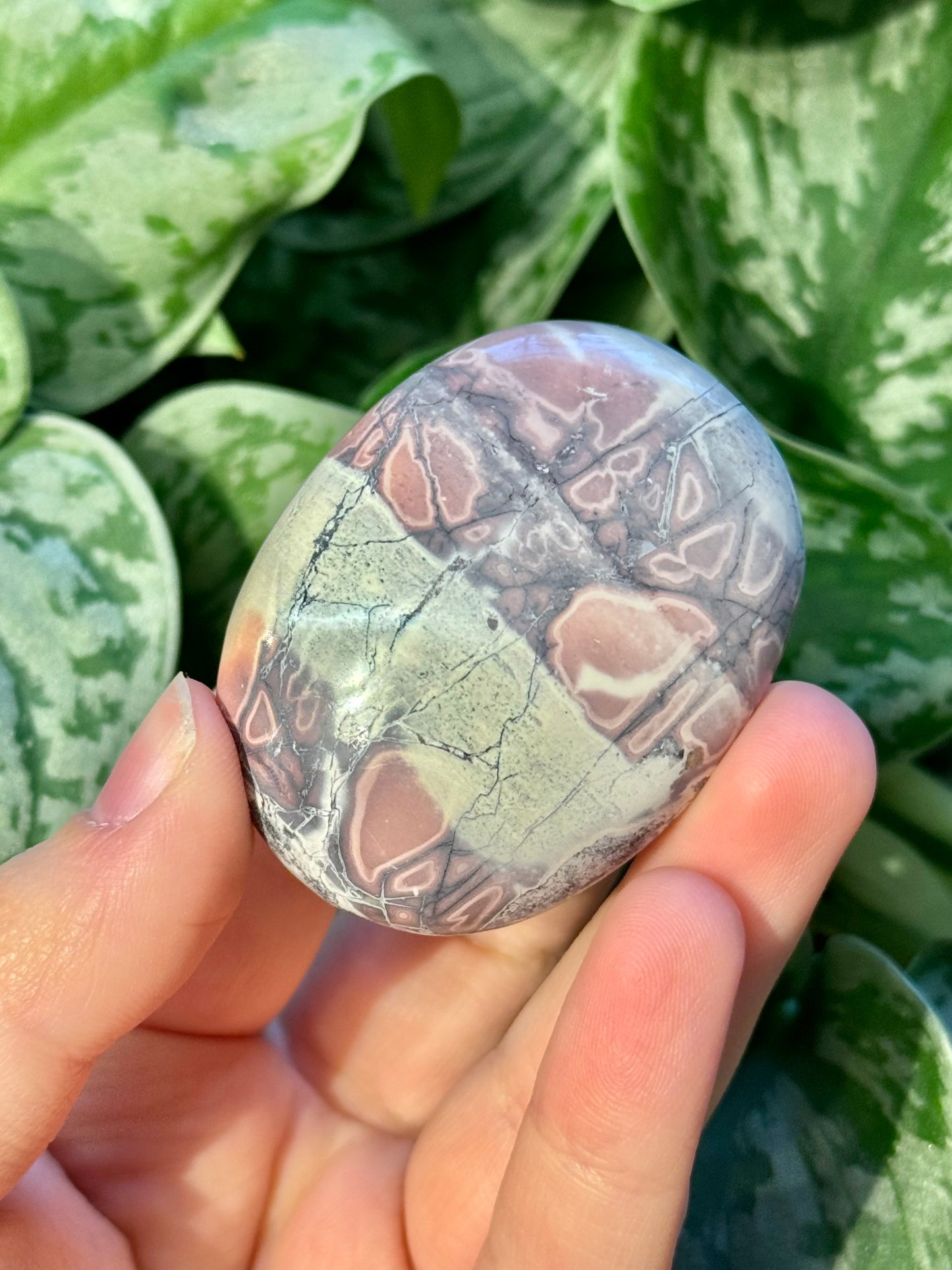 1 porcelain jasper palm stone A