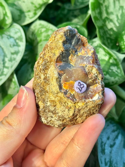 Beautiful Condor agate from Argentina