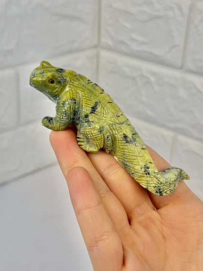 Adorable serpentine iguana