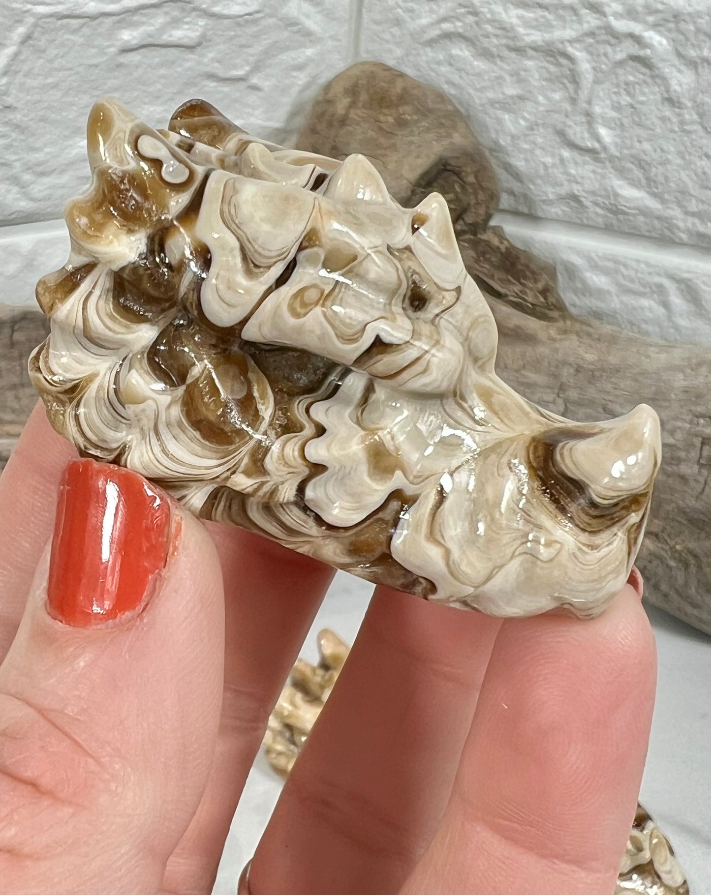 1 chocolate calcite dragon head