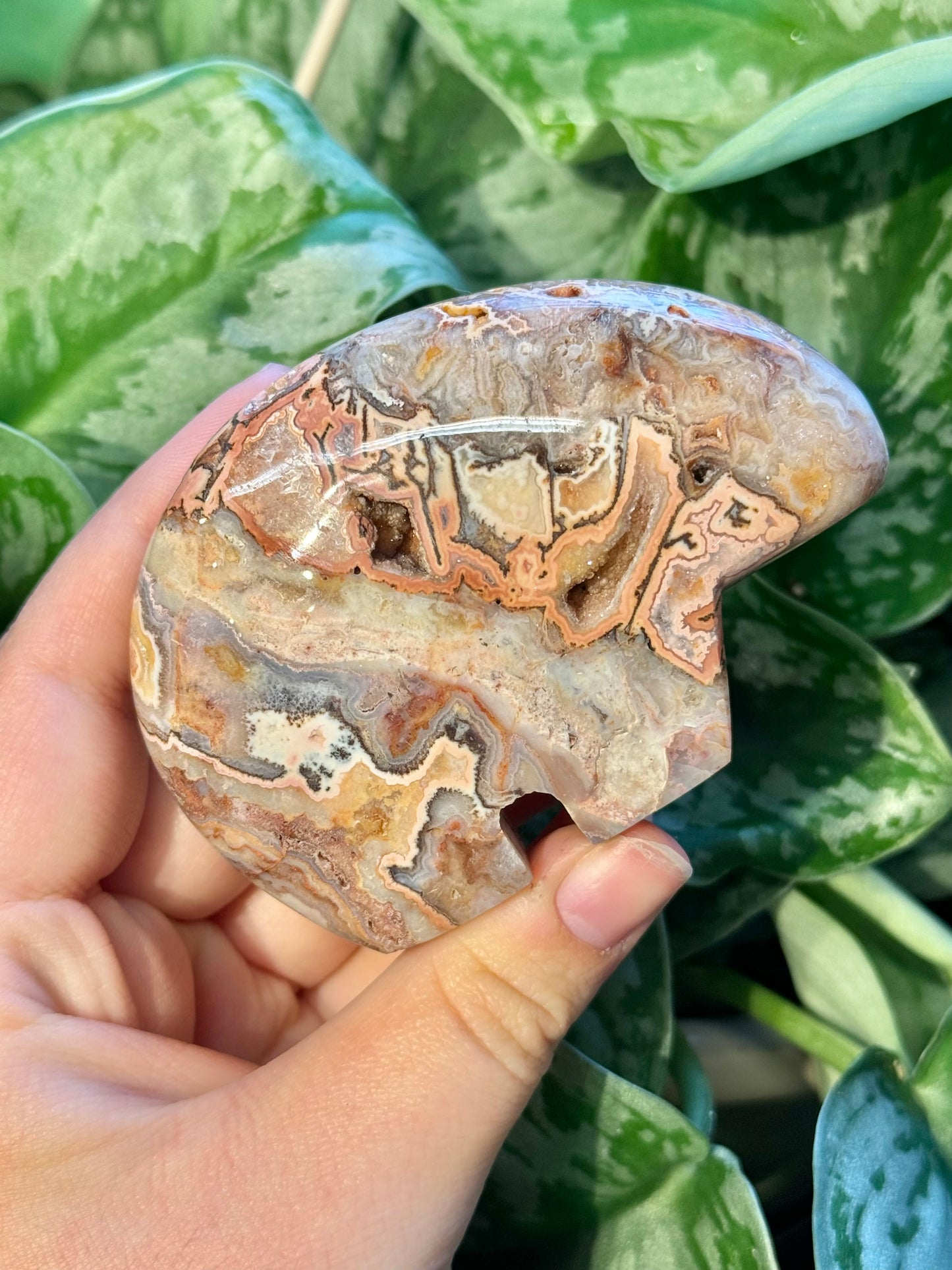 1 LG intuitive pink crazy lace agate bear from Indonesia