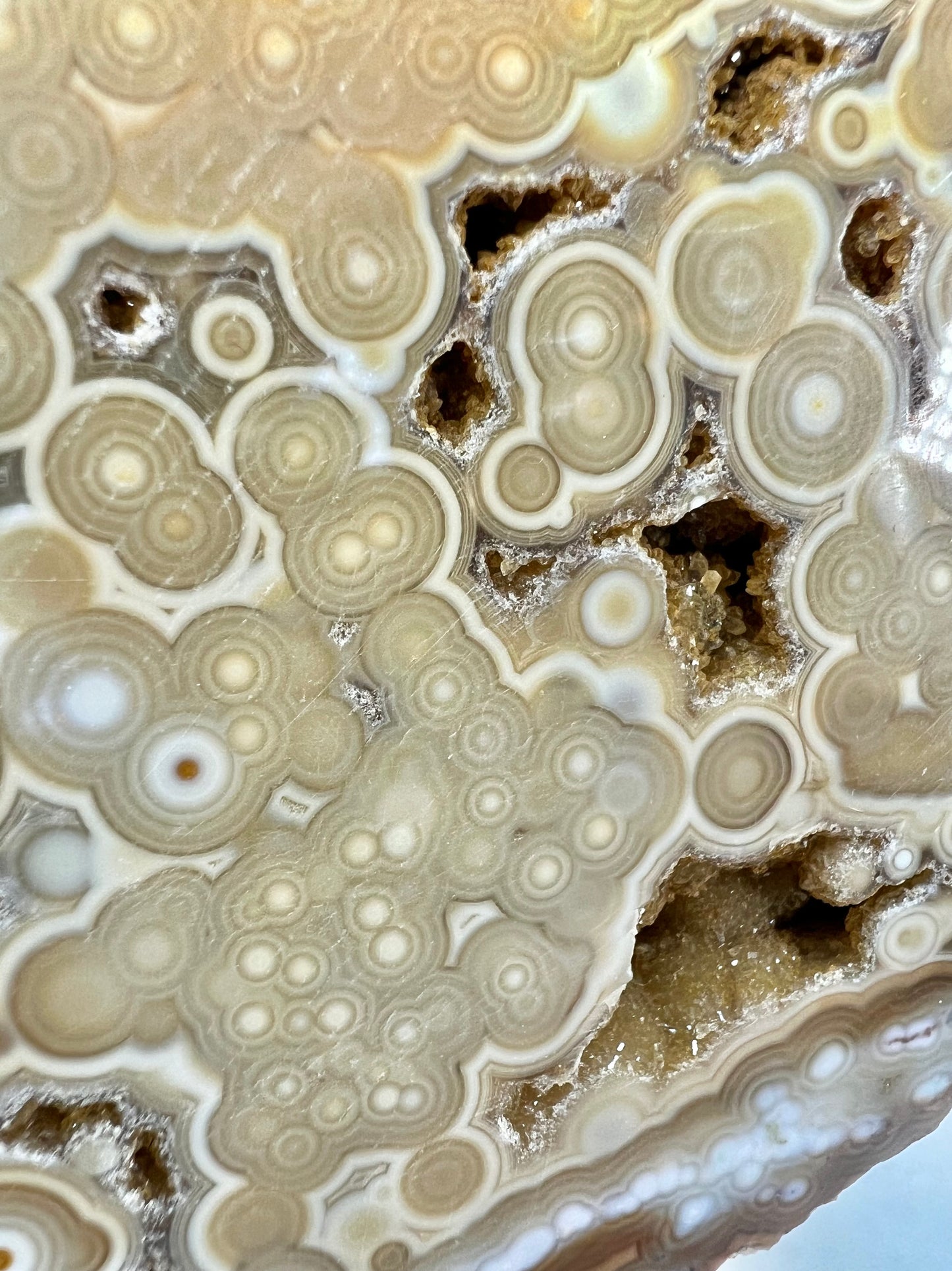 AAA yellow druzy orbicular ocean jasper slab from Madagascar