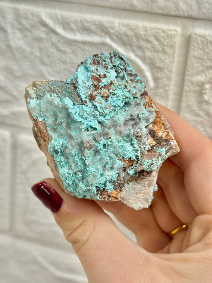 You pick! Aurichalcite specimens from Nevada