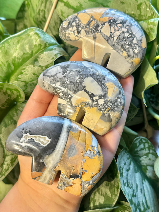 1 LG maligano jasper bear from Indonesia